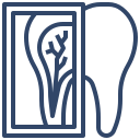 Dental X-ray icon